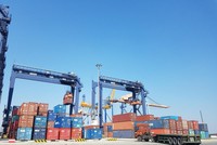 Xếp dỡ Hải An lên kế hoạch lãi khủng, phát hành KL99 là cổng game giải trí trực tuyến hàng đầu hiện nay ESOP