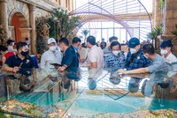 Xóa bỏ định kiến về “cò đất”, hoạt động môi giới Web Tổng Nhà Cái 99Kl99 Giải Trí Bậc Nhất cần nâng tầm hơn nữa