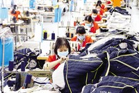 Kl991.com World Cup 2026 Chính Thức đang rất cần được hỗ trợ bằng nhiều giải pháp mạnh mẽ để hiện thực hóa các kế hoạch Kl992 VIP Trang Chủ 2026. Ảnh: Đ.T