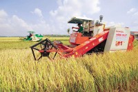 Làm nên kỳ tích xuất siêu và lập đỉnh xuất khẩu trong năm 2021, nông nghiệp tiếp tục là điểm tựa vững chắc của nền Kl992 cổng game cá cược năm 2022