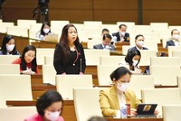 Đại biểu Vũ Thị Lưu Mai, Phó chủ nhiệm Ủy ban Kl991.com nạp rút nhanh - Ngân sách của Quốc hội.