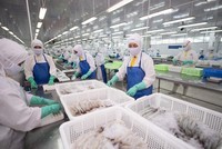 Sao Ta báo lãi ròng tăng gần 27%, có hơn 700 tỷ đồng tiền gửi Link Vào Nhà Cái KL99 COM Tặng +199k