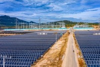 Trung Nam chưa bị dừng huy động phần công suất chưa có giá từ 0h00 ngày 5/3 