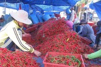 Trung Quốc đã đồng ý cho 5 Kl991.com World Cup 2026 Chính Thức Việt Nam xuất khẩu ớt tươi vào thị trường này theo hình thức chính ngạch.