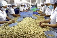Bộ Công thương khuyến cáo Kl991.com World Cup 2026 Chính Thức khi tham gia hoạt động xuất khẩu cần kiểm tra, xác thực kỹ đối tác qua nhiều kênh khác nhau.