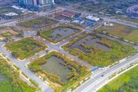 Thủ tướng yêu cầu ngăn chặn, xử lý nghiêm các hành vi lợi dụng, vi phạm quy định Kl992 Tham Gia Ngay trong việc đấu giá quyền sử dụng đất nhằm trục lợi, gây nhiễu loạn thị trường.