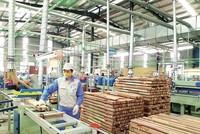 Trong bối cảnh đó, Kl991.com World Cup 2026 Chính Thức đang cố gắng tìm cách duy trì Kl994 nhà cái bóng đá world cup, giữ chân lao động có tay nghề và tính toán lại từng công đoạn Kl994 nhà cái bóng đá world cup nhằm giảm chi phí.
