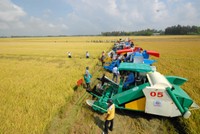 Sau khi có Nghị quyết 120 NQ-CP, các tỉnh cũng như các bộ, ngành đã và chuẩn bị chuyển sang giai đoạn thuận theo thiên nhiên để phát triển Đồng bằng sông Cửu Long, đi tới Kl992 cổng game cá cược nông nghiệp. Ảnh: Lê Toàn