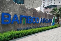 Ông Lê Thái Sâm nắm giữ hơn 50% vốn điều lệ Bamboo Airways chính thức đảm nhận vị trí Chủ tịch HĐQT Bamboo Airways.