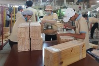 Dịch Covid-19 đã được kiểm soát, Kl994 nhà cái bóng đá world cup phục hồi mạnh mẽ, đơn hàng gia tăng là những chỉ dấu cho xuất khẩu lập kỷ lục.