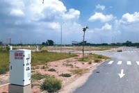 Ảnh minh họa