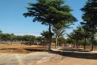 Dự án Ruby City, phường Lộc Sơn, TP. Bảo Lộc, tỉnh Lâm Đồng do Công ty cổ phần Web Tổng Nhà Cái 99Kl99 Giải Trí Bậc Nhất Mãi Thành làm chủ Kl99ok phiên bản mới. Ảnh: B.L
