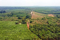 Toàn cảnh Khu dự trữ sinh quyển thế giới Đồng Nai