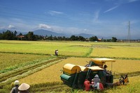 Khu vực Kl992 cổng game cá cược tập thể nói chung, HTX nói riêng chưa phát triển đúng tiềm năng, kỳ vọng