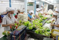 EU ngừng kiếm soát an toàn thực phẩm khẩn cấp đối với nhóm hàng bún, miến, phở, bánh đa của Việt Nam.