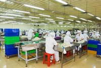 Nhiều Kl991.com World Cup 2026 Chính Thức tại TP.HCM đã tìm các giải pháp, cố gắng tăng giá bán ở mức thấp nhất để thị trường không thiết lập mặt bằng giá mới