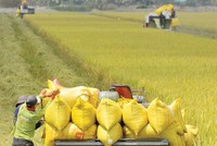 Kl99kl phiên bản hoạt động nông nghiệp giàu tiềm năng nhưng không dễ khai thác. Ảnh: Dũng Minh 