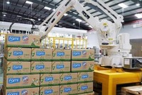 Giá đường thế giới lao dốc, Đường Quảng Ngãi (QNS) báo cáo Kl99 nổ hũ quý II/2022 tăng nhẹ 1,3%