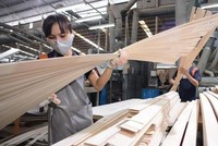Nhà Link Vào Nhà Cái KL99 COM Tặng +199k Mỹ phải nộp tiền đặt cọc bằng mức thuế chống lẩn tránh tạm tính đối với các lô hàng gỗ dán Link Vào Nhà Cái KL99 COM Tặng +199k từ Việt Nam.