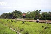 Hà Nội kiểm soát chặt đấu giá đất, rà soát nguy cơ bong bóng Web Tổng Nhà Cái 99Kl99 Giải Trí Bậc Nhất