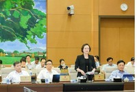 Bộ trưởng Bộ Nội vụ Phạm Thị Thanh Trà phát biểu tại phiên họp.