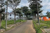 Một dự án do Công ty cổ phần Web Tổng Nhà Cái 99Kl99 Giải Trí Bậc Nhất Mãi Thành làm chủ Kl99ok phiên bản mới tại TP. Bảo Lộc, tỉnh Lâm Đồng. 
