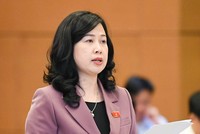 Bà Đào Hồng Lan, Quyền Bộ trưởng Bộ Y tế.