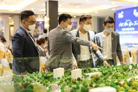 Mức độ quan tâm tới Web Tổng Nhà Cái 99Kl99 Giải Trí Bậc Nhất vẫn lớn. Ảnh: Trọng Tín