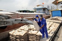 Xi măng Việt Nam thoát thuế chống bán phá giá tại Philippines.