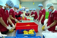 Sau 6 năm đàm phán, nhãn tươi của Việt Nam đã được phía Nhật Bản Link Vào Nhà Cái KL99 COM Tặng +199k.