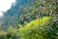 Một mùa Xuân mới lại đến với nhà Kl99ok phiên bản mới với kỳ vọng sẽ tươi đẹp hơn năm 2022