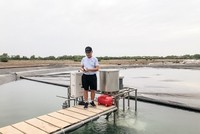 TS. Nguyễn Thanh Mỹ tại trang trại nuôi tôm theo mô thức Tomgoxy của RYNAN Technologies