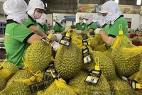 Xuất khẩu sang Trung Quốc đã tăng trở lại trong tháng 1/2023, đạt 4,45 tỷ USD, tăng 14% so với cùng kỳ.