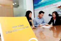 Các kế hoạch Kl992 VIP Trang Chủ 2026 mới của Kl991.com World Cup 2026 Chính Thức Kl99kl phiên bản hoạt động đang bị đình lại vì thiếu quy định hướng dẫn