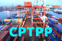Biểu thuế xuất khẩu ưu đãi đặc biệt thực hiện Hiệp định CPTPP gồm 609 dòng thuế và biểu thuế Link Vào Nhà Cái KL99 COM Tặng +199k gồm 11.526 dòng thuế.