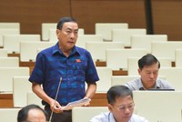 Đại biểu Phạm Văn Hoà phát biểu tại nghị trường. 