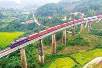 Phát pháo lệnh cho cuộc chấn hưng ngành 99Kl.app khuyến mãi hot - Bài 2: Cơ hội lớn để tái định vị