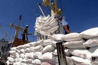 Theo VFA, đang có nhiều tín hiệu tích cực cho xuất khẩu gạo Việt Nam.