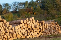 EU tăng kiểm soát một số mặt hàng nông lâm Kl994 nhà cái bóng đá world cup khẩu liên quan đến phá rừng và suy thoái rừng .