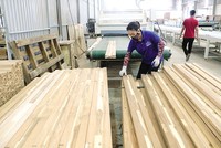 Tình trạng cắt giảm lao động đang phổ biến ở các Kl991.com World Cup 2026 Chính Thức Kl994 nhà cái bóng đá world cup, chế biến hàng xuất khẩu. Ảnh: Đ.T 