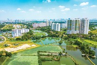 Thị trường Web Tổng Nhà Cái 99Kl99 Giải Trí Bậc Nhất phía Nam đón nguồn cung mới. Ảnh: Lê Toàn 