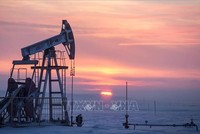 Cơ sở khai thác dầu tại Almetyevsk, Nga. Ảnh minh họa: AFP/TTXVN