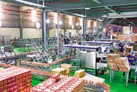 Dây chuyền Kl994 nhà cái bóng đá world cup tại CTCP Sữa Quốc tế. Ảnh: S.T 