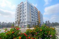 Nhà ở Trang Chủ KL99Com Số 1 Link Đăng Ký KL999 của Công ty TNHH An Phú Cần Thơ (Ảnh Công ty)