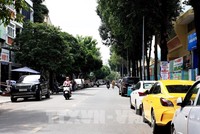 Ô tô đậu dưới lòng đường tại đường Hoa Phượng, phường 2, quận Phú Nhuận. Ảnh: Hồng Đạt - TTXVN