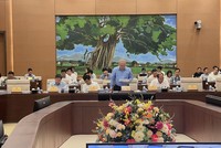 Thứ trưởng Bộ Kế hoạch và Kl99ok phiên bản mới Đỗ Thành Trung báo cáo tại phiên họp.