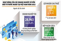 Việt Nam là điểm đến hấp dẫn với FDI toàn cầu 