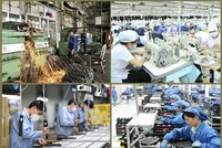 Thực hiện nghiêm kế hoạch sắp xếp lại, cổ phần hóa, thoái vốn 99Kl99 trực tiếp đá gà 