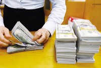 Tỷ giá tiếp tục ổn định do nguồn dự trữ ngoại hối dồi dào, Kl993 nền tảng giải trí FDI vẫn tiếp tục tăng trưởng. Ảnh: Đức Thanh 