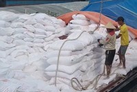Nhiều Kl991.com World Cup 2026 Chính Thức xuất khẩu tinh bột sắn đang bị chậm hoàn thuế giá trị gia tăng.